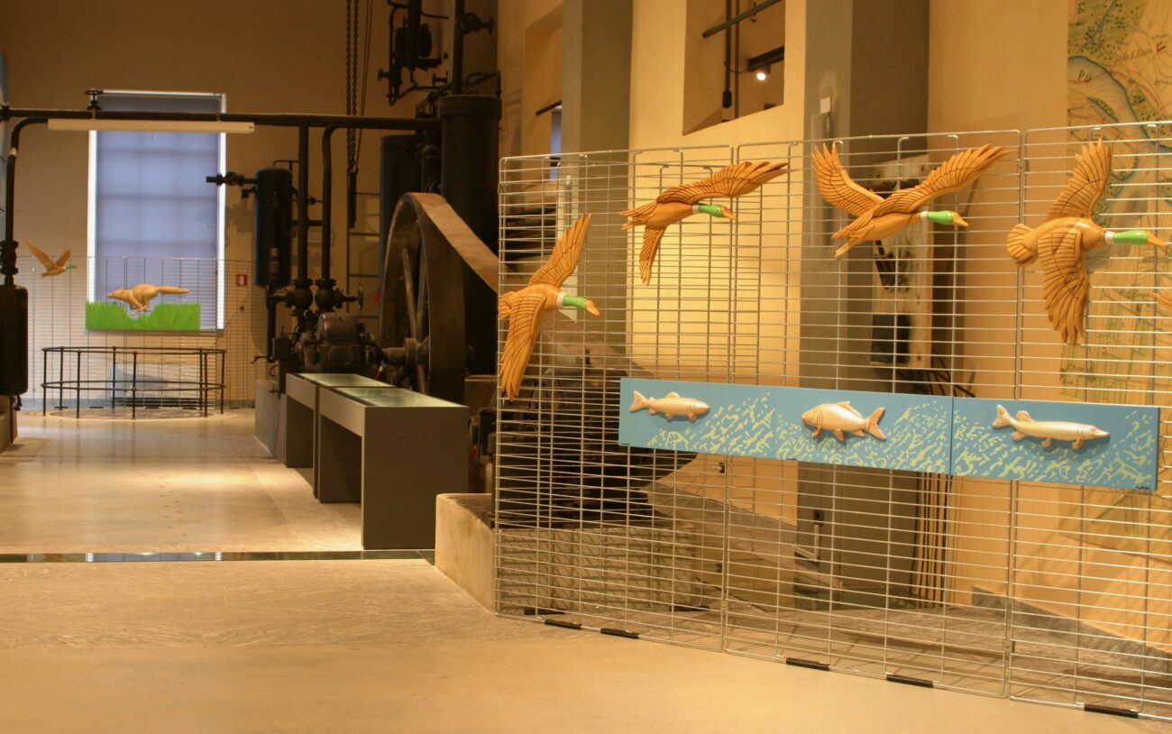 2009 Museo Scienze Naturali, Piacenza 1