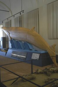 2001 balena