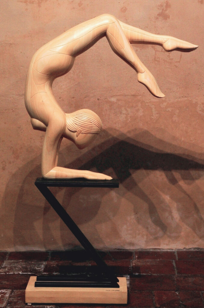 2008 ginnasta, cm.108x106