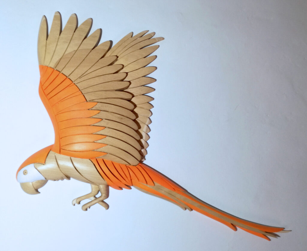 2021 pappagallo arancione cm.79x55