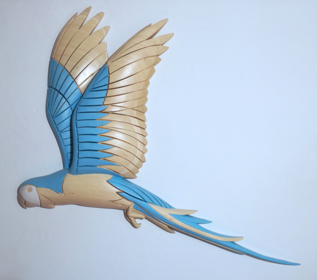 2021 pappagallo azzurro cm.81x67