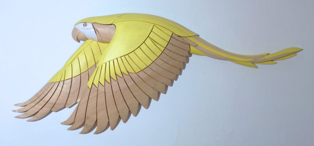 2021 pappagallo giallo cm.93x43
