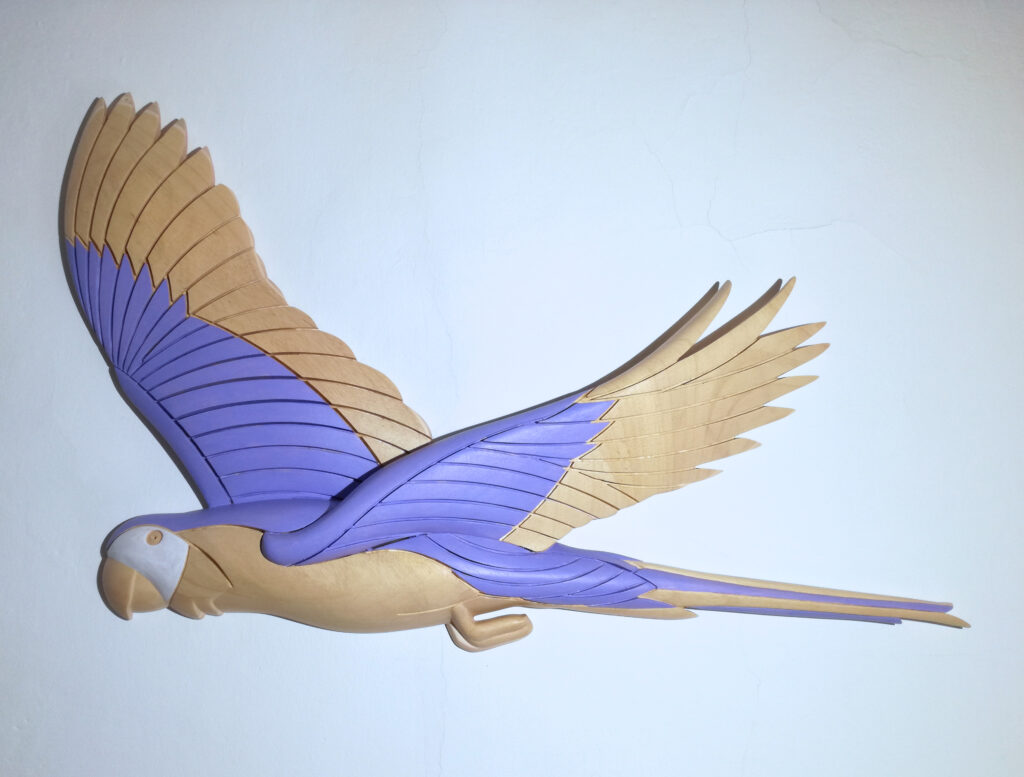 2021 pappagallo viola cm.84x50